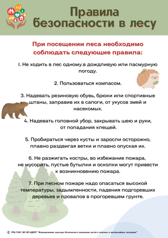 Правила безопасности в лесу